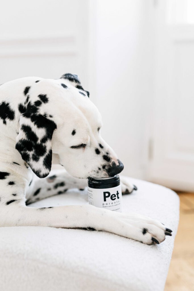 Psy obok opakowań funkcjonalnych smaczków PET PARENTS