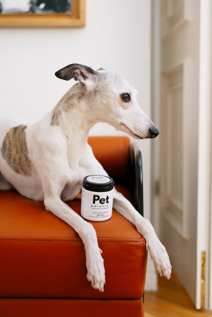 Pies i opakowanie PET PARENTS Joint & Bone dla psa w formie smaczków