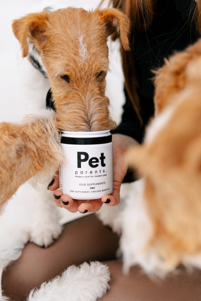 Kilka psów z produktem PET PARENTS 8in1 dla psa