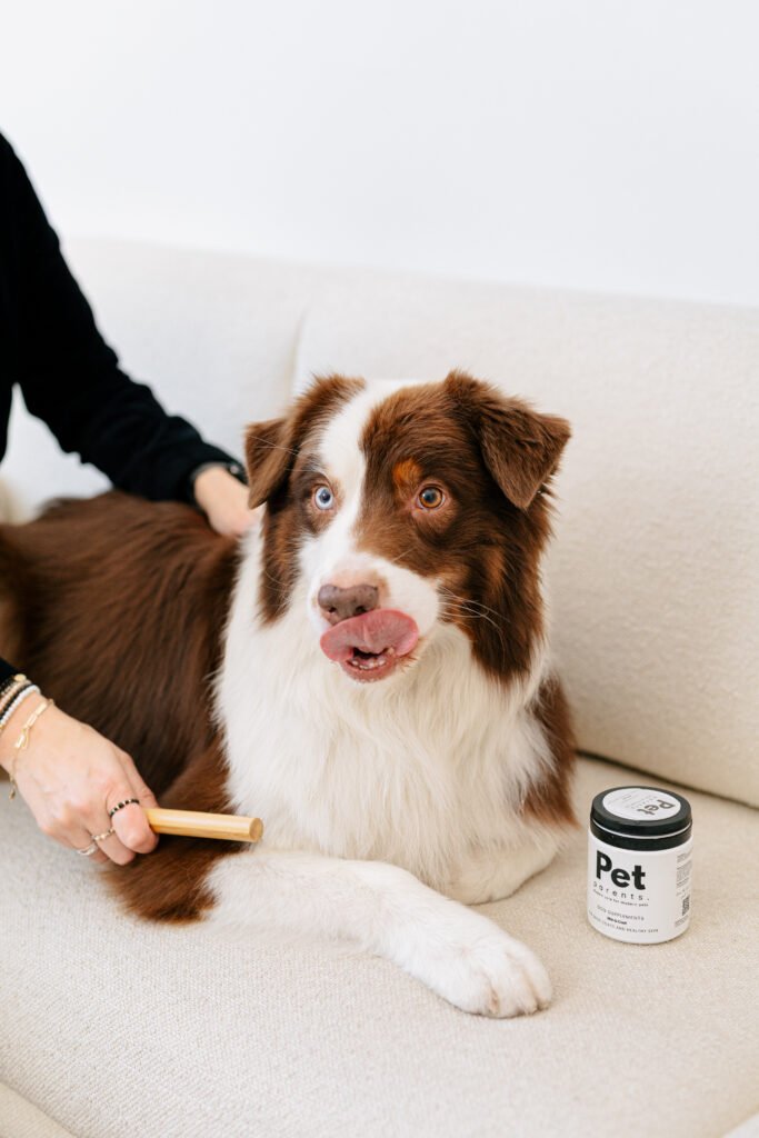 Leżący pies obok suplementu PET PARENTS Skin & Coat wspierającego zdrową skórę i sierść