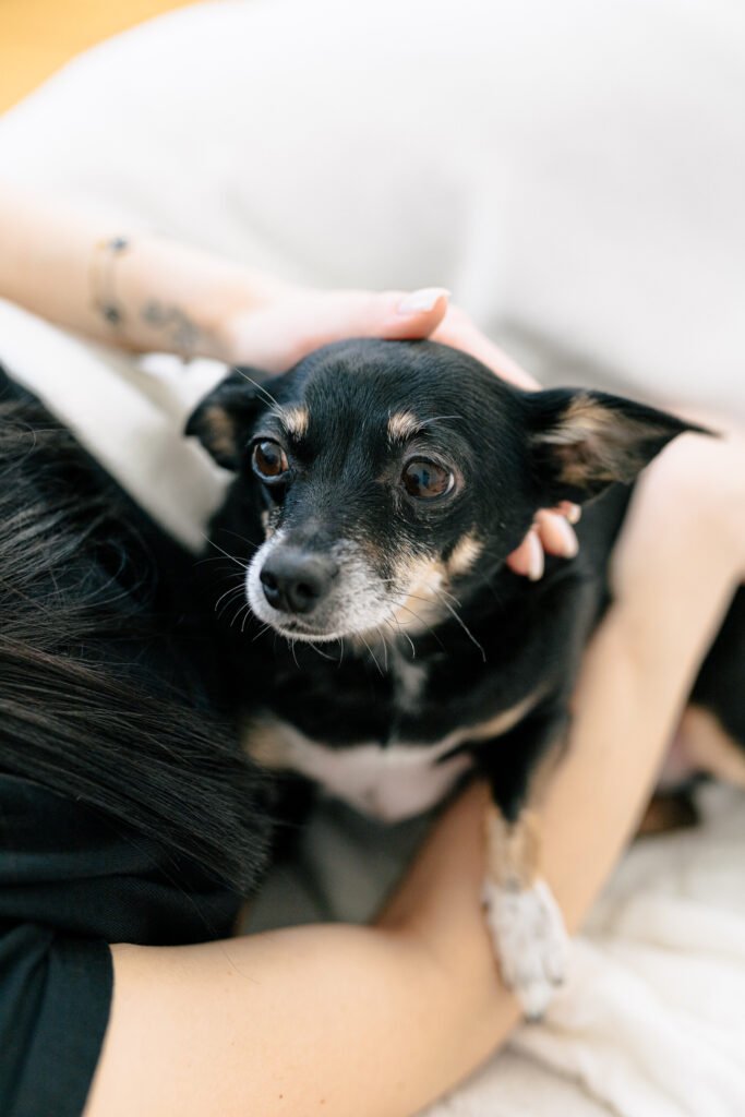 Starszy pies obok suplementu PET PARENTS 8in1 dla psa